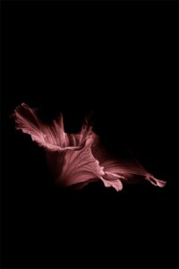 What I Wasn’t Meant to See