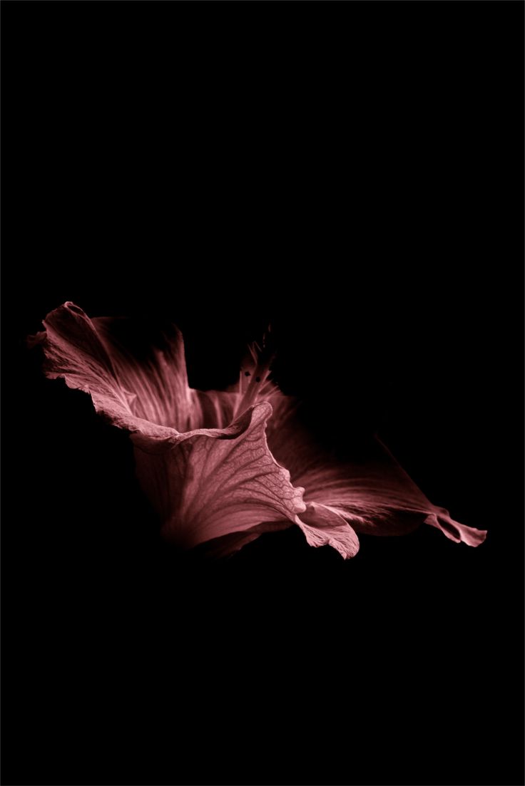 What I Wasn’t Meant to See